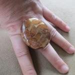 Sale Turtle Shell Ring Adj..